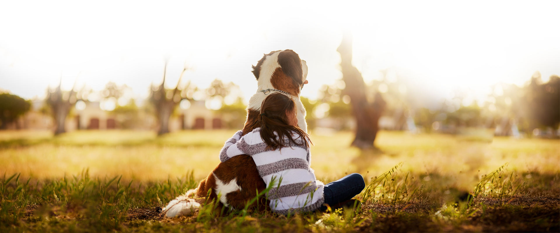 Child sitting in a grassy field with an arm around a large brown and white dog, seen from behind