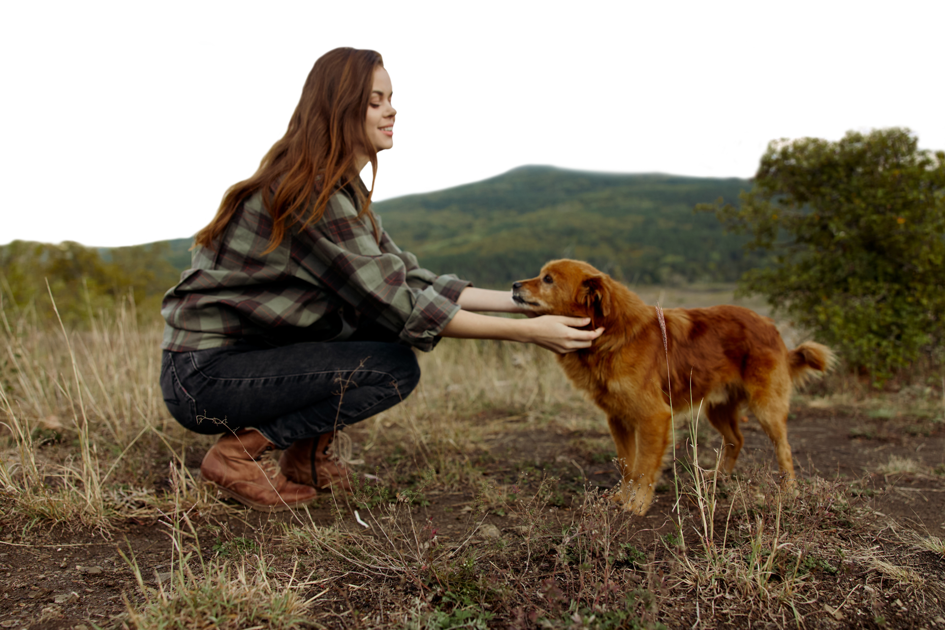 Person crouching in a field, holding the face of a reddish-brown dog